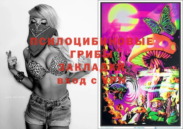 спиды Абинск