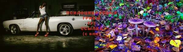 спиды Абинск