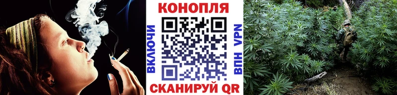 купить наркотики цена  Красный Сулин  Канабис гибрид 